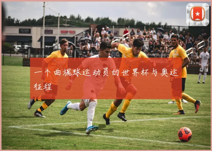 一个曲棍球运动员的世界杯与奥运征程