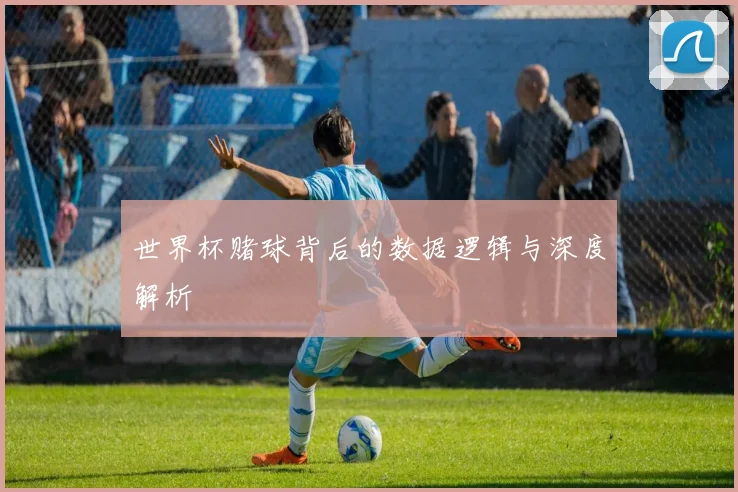 世界杯赌球背后的数据逻辑与深度解析