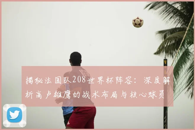 揭秘法国队208世界杯阵容：深度解析高卢雄鹰的战术布局与核心球员
