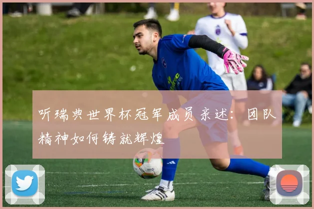 听瑞典世界杯冠军成员亲述：团队精神如何铸就辉煌