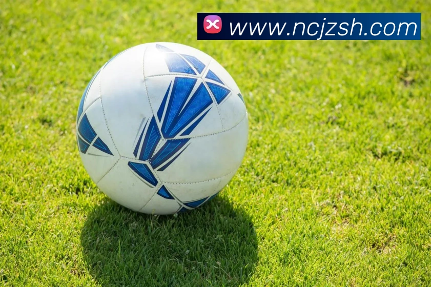 爱体育电子官网登录APP 高清赛事图